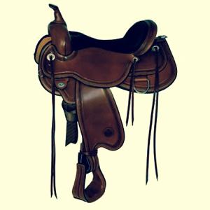 Contemplating the Saddle